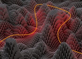 Forecasting US GDP utilizing Machine Studying and Arithmetic | by Dron Mongia | Jul, 2024