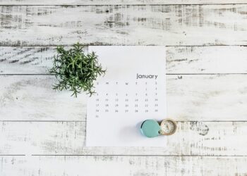 Step-by-Step Information for Constructing Interactive Calendars in Plotly | by Amanda Iglesias Moreno | Aug, 2024