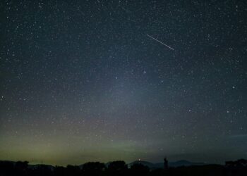 From insights to influence: leveraging knowledge science to maximise buyer worth | by Arthur Cruiziat | Aug, 2024