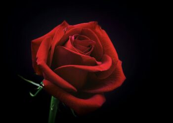 Productionizing a RAG App with Prefect, Weave, and RAGAS | by Ed Izaguirre | Aug, 2024