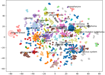 Exploring most cancers sorts with neo4j | by David Wells | Aug, 2024