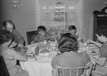 Omitted Variable Bias. An intro to an particularly sneaky bias… | by Sachin Date | Aug, 2024