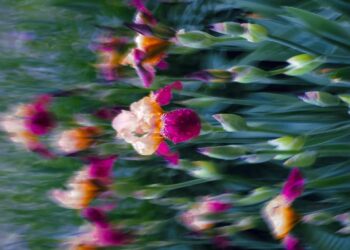 Unlocking Idea Measurement. How the analogy-completion process modified… | by Danielle Boccelli | Aug, 2024