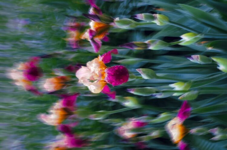 Unlocking Idea Measurement. How the analogy-completion process modified… | by Danielle Boccelli | Aug, 2024