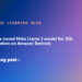Import a fine-tuned Meta Llama 3 mannequin for SQL question era on Amazon Bedrock