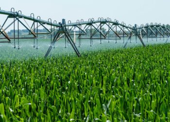 A Deep Studying Strategy to Multivariate Evaluation