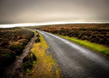 The Thriller Behind the PyTorch Computerized Combined Precision Library | by Mengliu Zhao | Sep, 2024