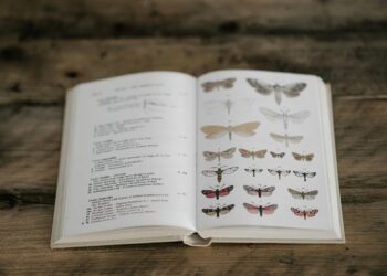 Classify Jira Tickets with GenAI On Amazon Bedrock | by Tanner McRae | Nov, 2024