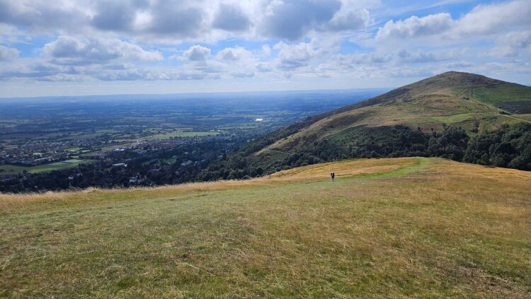 The Instinct behind Concordance Index — Survival Evaluation | by Antonieta Mastrogiuseppe | Nov, 2024