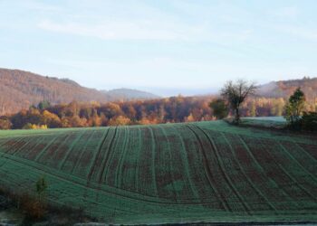 To Index or To not Index. Leverage SQL indexing to hurry up your… | by Christopher Karg | Nov, 2024