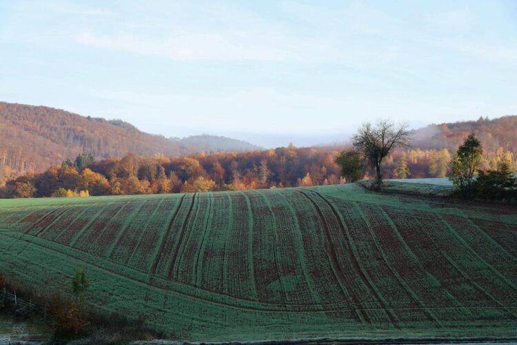 To Index or To not Index. Leverage SQL indexing to hurry up your… | by Christopher Karg | Nov, 2024