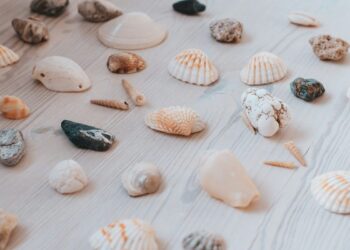 2024 Highlights: The AI and Information Science Articles That Made a Splash | by TDS Editors | Dec, 2024