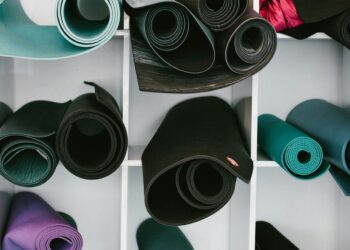 Transition Into Knowledge Science—and Inside Knowledge Science | by TDS Editors | Dec, 2024