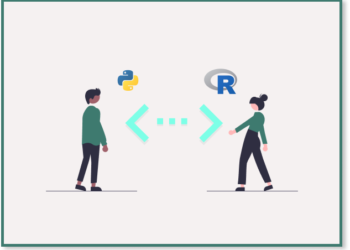 The Important Information to R and Python Libraries for Knowledge Visualization | by Sarah Lea | Dec, 2024