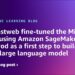 How Fastweb fine-tuned the Mistral mannequin utilizing Amazon SageMaker HyperPod as a primary step to construct an Italian massive language mannequin
