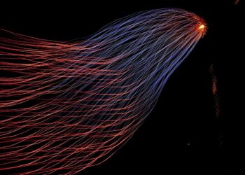 Machine Studying + openAI: fixing a textual content classification downside | by Ricardo Ribas