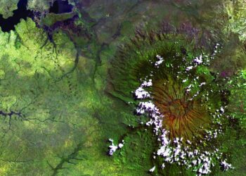 Satellite tv for pc Picture Classification Utilizing Deep Studying | By Leo Anello | Medium