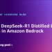 Deploy DeepSeek-R1 Distilled Llama fashions in Amazon Bedrock