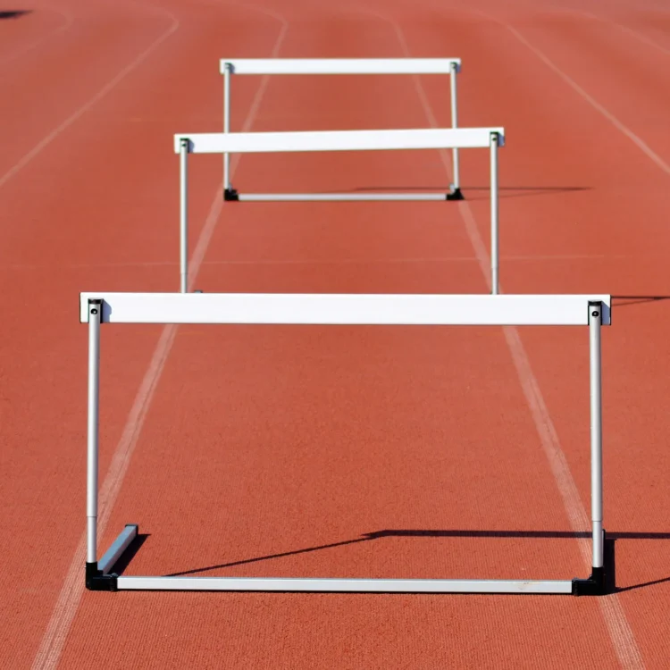 The Gamma Hurdle Distribution | In the direction of Knowledge Science