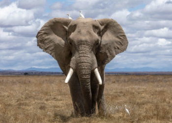 Mastering Hadoop, Half 1: Set up, Configuration, and Fashionable Huge Knowledge Methods