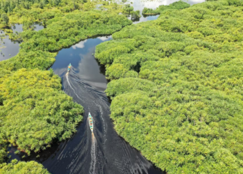 Mastering Hadoop, Half 3: Hadoop Ecosystem: Get essentially the most out of your cluster