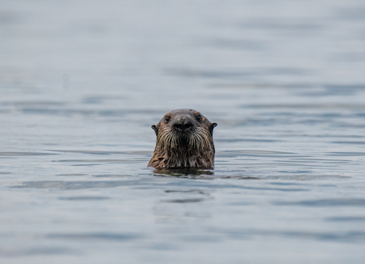 7 Highly effective DBeaver Ideas and Methods to Enhance Your SQL Workflow