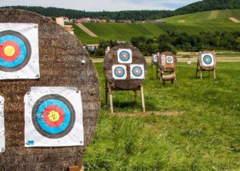 Linear Programming: Managing A number of Targets with Aim Programming