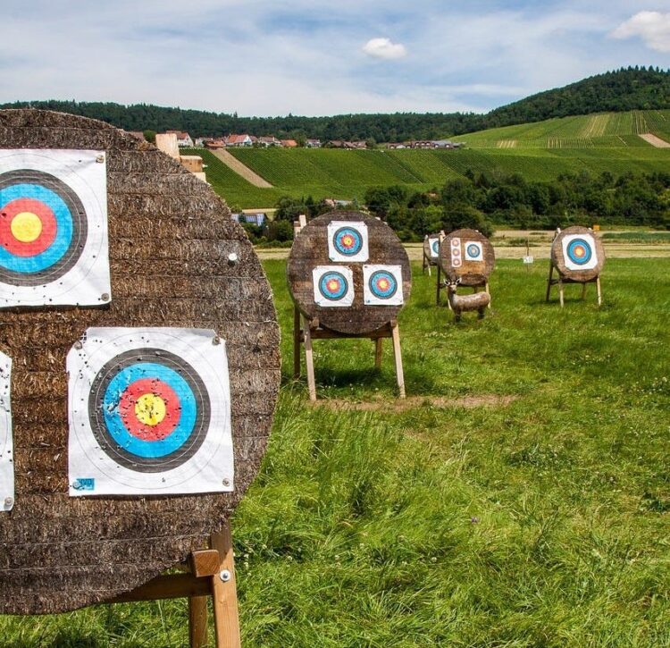 Linear Programming: Managing A number of Targets with Aim Programming