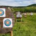 Linear Programming: Managing A number of Targets with Aim Programming