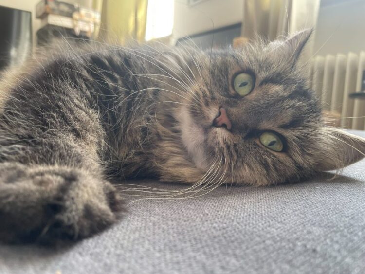 Deploy Qwen fashions with Amazon Bedrock Customized Mannequin Import