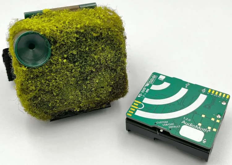 Audio Spectrogram Transformers Past the Lab