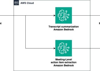 Assembly summarization and motion merchandise extraction with Amazon Nova