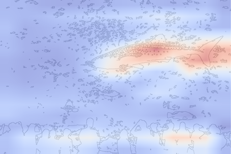 Grad-CAM from Scratch with PyTorch Hooks