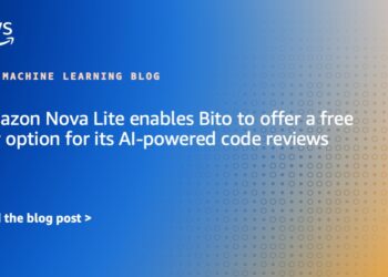 Amazon Nova Lite permits Bito to supply a free tier choice for its AI-powered code critiques