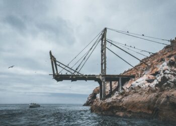 Why AI Initiatives Fail | In direction of Knowledge Science