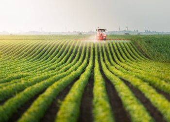 Accelerating information science innovation: How Bayer Crop Science used AWS AI/ML companies to construct their next-generation MLOps service