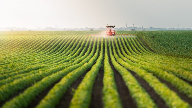 Accelerating information science innovation: How Bayer Crop Science used AWS AI/ML companies to construct their next-generation MLOps service