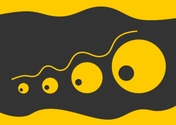 FastSAM  for Picture Segmentation Duties — Defined Merely