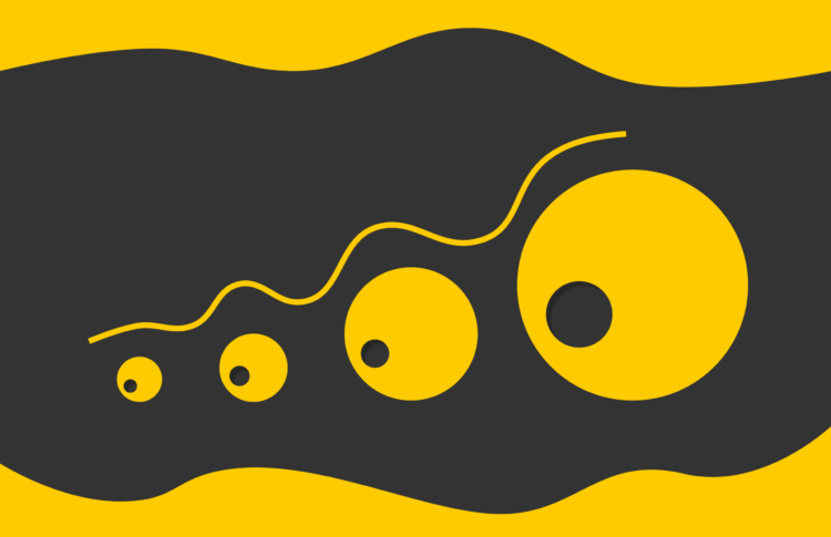 FastSAM  for Picture Segmentation Duties — Defined Merely