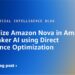 Customise Amazon Nova in Amazon SageMaker AI utilizing Direct Choice Optimization