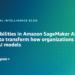 New capabilities in Amazon SageMaker AI proceed to remodel how organizations develop AI fashions