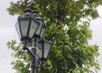 LLM Monitoring and Observability: Palms-on with Langfuse