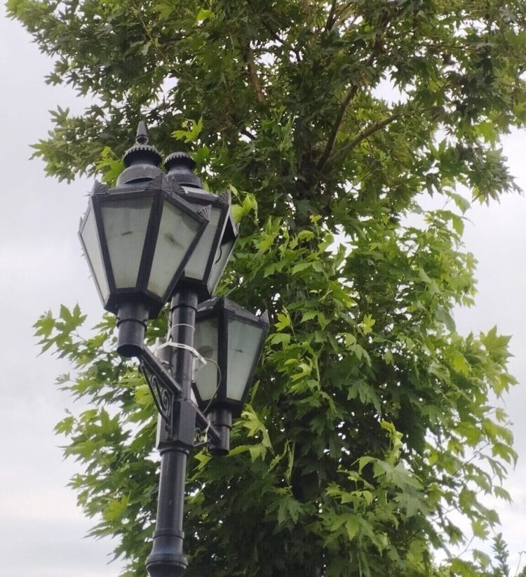 LLM Monitoring and Observability: Palms-on with Langfuse