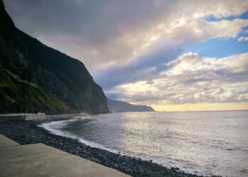 No Peeking Forward: Time-Conscious Graph Fraud Detection