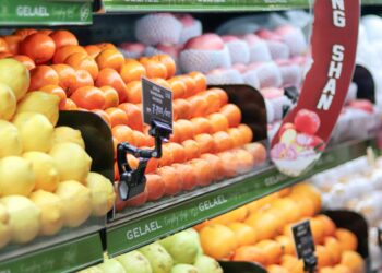 Evaluation of Gross sales Shift in Retail with Causal Influence: A Case Examine at Carrefour