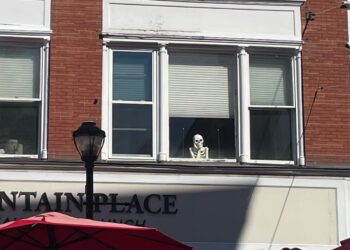 Why Ought to We Hassle with Quantum Computing in ML?