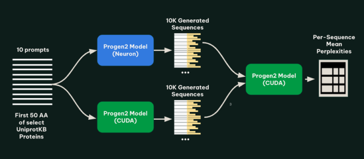 Metagenomi generates tens of millions of novel enzymes cost-effectively utilizing AWS Inferentia