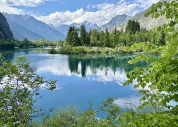 How the Rise of Tabular Basis Fashions Is Reshaping Information Science