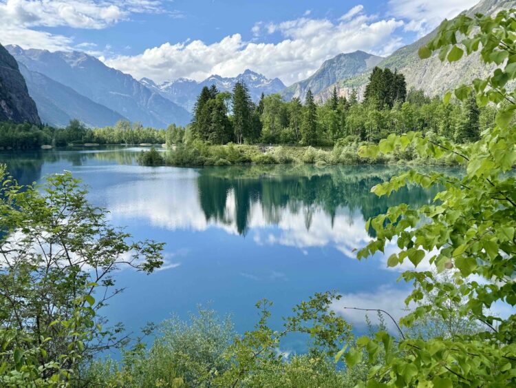 How the Rise of Tabular Basis Fashions Is Reshaping Information Science