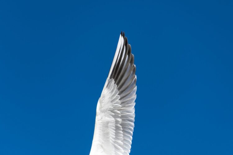 First Ideas Considering for Knowledge Scientists